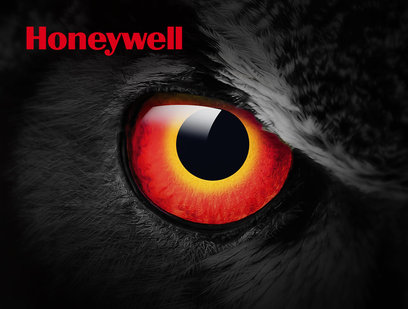 Honeywell B2B Branding